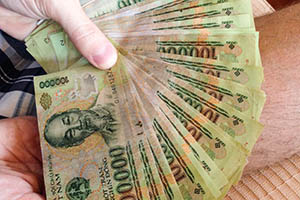 Вьетнамская валюта - Донги
